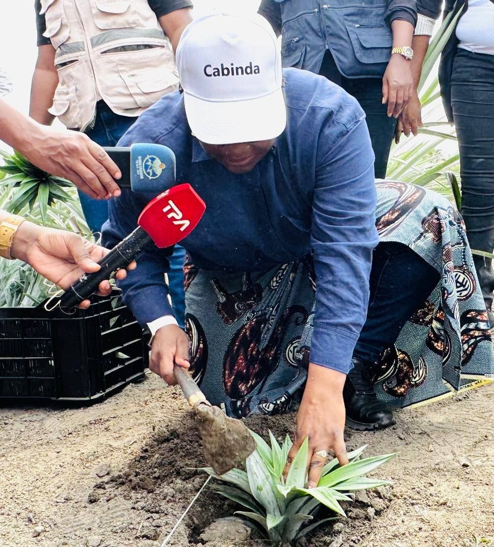 JORNADAS “PÉS NA TERRA” POTENCIALIDADES AGROPECUÁRIAS E PESQUEIRAS DO MUNICÍPIO DE MASSABI