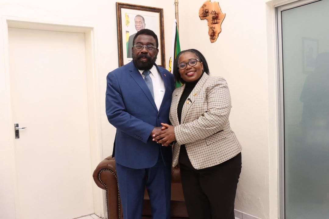 Relação de cooperação entre Angola e Zimbabwe na conversa entre os Embaixadores Pedro Mutindi e Melody Chaurura