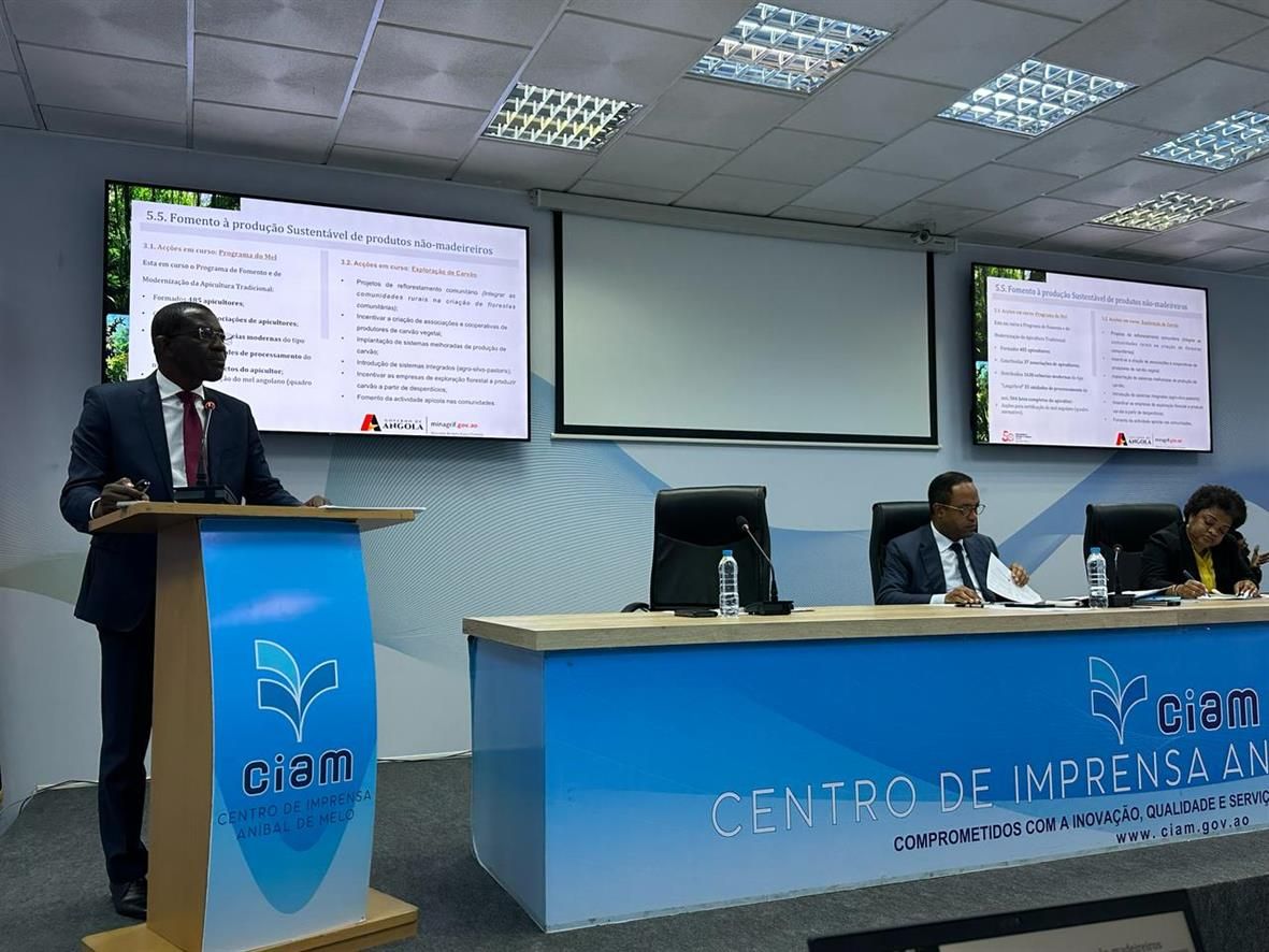 RECUPERAÇÃO DAS ÁREAS FLORESTAIS IMPLANTADAS É A GRANDE PRIORIDADE