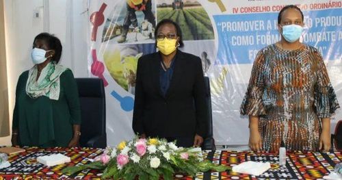 Notícia