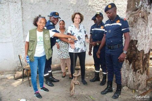 Notícia