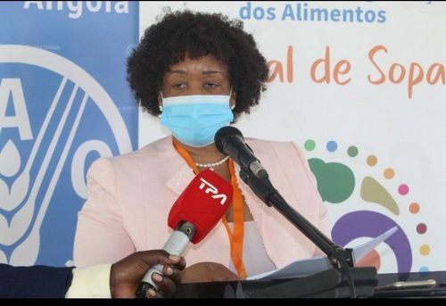 Notícia
